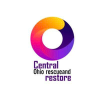 centraltintuc 