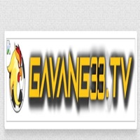 gavang33 com