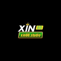 Xin88 studio