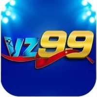vz99 bike